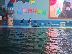 -蓬莱欧乐堡海洋极地世界