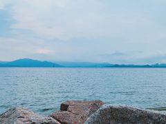 -深圳湾公园(南山区)