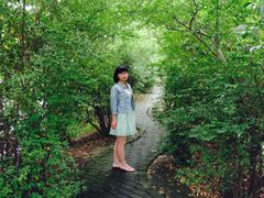 -溱湖国家湿地公园