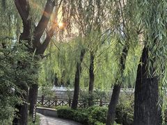 -迎泽公园