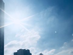沙田蓝-沙田广场