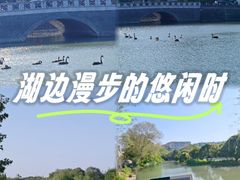 -扬州大运河文化旅游度假区·盆景园