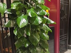 -二分八云雁阁•新晋菜大同味(长治路店)