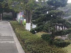 -八大山人梅湖景区