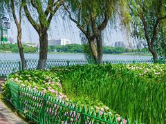 -金银湖国家城市湿地公园