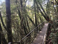 -云南屏边大围山国家公园