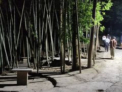 -金水泊山庄·花椒鸡(铁山坪店)