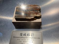 -中国地质大学逸夫博物馆