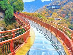 -少华山国家森林公园