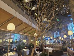 -桂满陇·海市蜃楼·黑金(国金店)