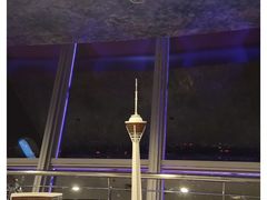 -339旋转餐厅(天府熊猫塔店)
