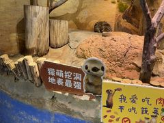 -正佳雨林生态植物园