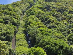 -梧桐山风景名胜区