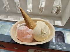 -极拉图·现制冰淇淋(大卫城店)