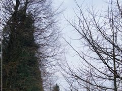 -山王坪喀斯特国家生态公园