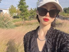 -田园东方蜜桃村的田野营地