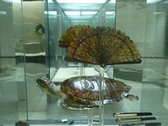 玳瑁扇-中国扇博物馆