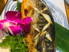 青花鱼-酒井酱子·深夜食堂(东城汇店)
