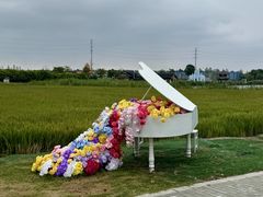 -杭州湾海上花田景区