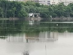-南宁南湖公园