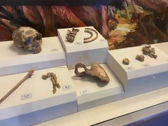 -辽宁古生物博物馆