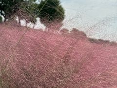 -汉长安城未央宫国家考古遗址公园