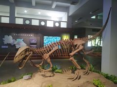 -自贡恐龙博物馆