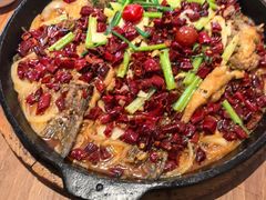 -老板恋上鱼(恒隆广场店)