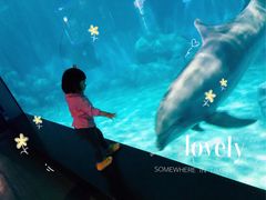 -福州罗源湾海洋世界旅游区