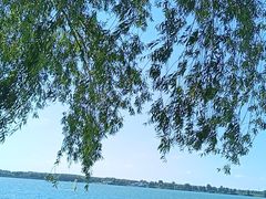 -丁香湖公园