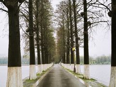 -东湖生态旅游风景区