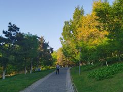 -莫子山公园