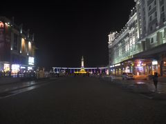 -人民防洪胜利纪念塔