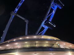 -新加坡摩天观景轮