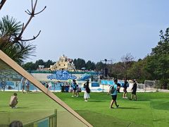 -秦皇岛乐岛海洋王国