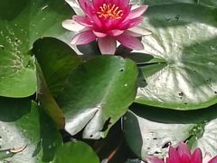 -滨湖塘西河公园