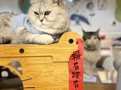 -小时光咖啡馆(北锣鼓巷店)