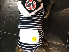 -Goku PET SHOP宠物视觉生活馆(双井店)
