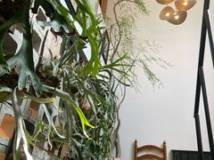 -自由生长植物工作室(深港花卉中心店)