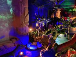 -恐龙探索乐园(磁器口店)