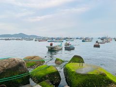 -海驴岛(荣成市)