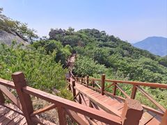 -大岭沟猕猴桃谷风景区