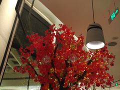 -HELLO MUSAE 拾光缪斯餐厅·纯正希腊风味(苏州中心店)