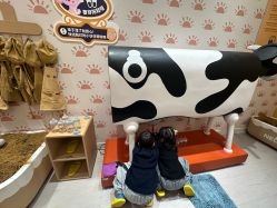 点击看大图 -奈尔宝家庭中心·亲子餐厅(苏州大悦城店)