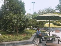 -冶春茶社(太和广场店)