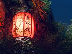 -八珍手工水饺·妈妈的爱(传芳巷店)