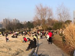 -滨湖塘西河公园