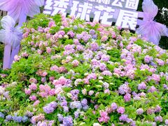 -上海滨江森林公园