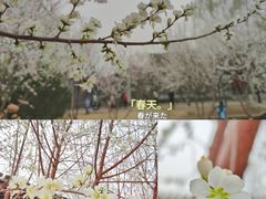 -三里河公园
