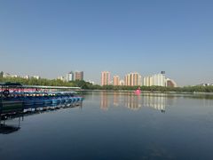 -莲花池公园